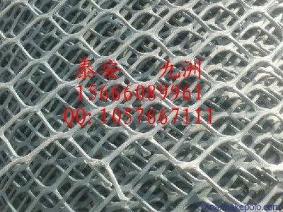 溫州高強度土工網(wǎng)與泰安九洲土工格室 規(guī)格齊全，應(yīng)用廣泛