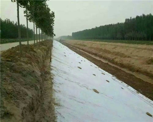 黃南300g護坡防水土工布 優質防護，當日發貨，歡迎選購與格柵搭配使用